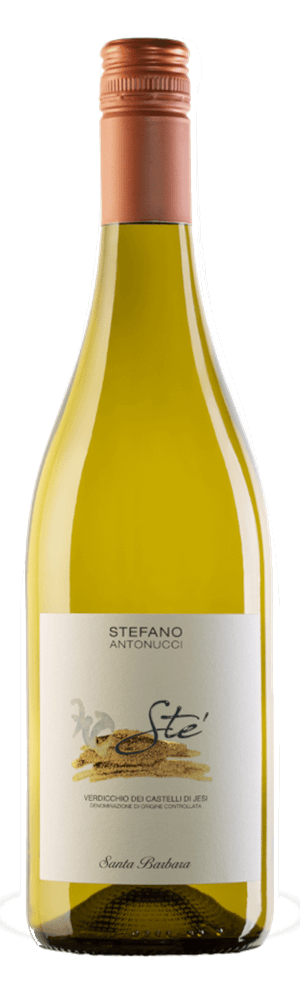 Verdicchio Sté DOC 2022