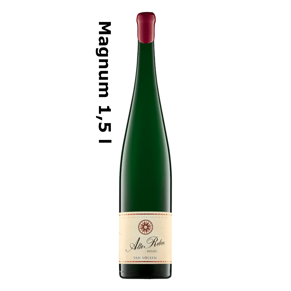 Alte Reben Riesling trocken Magnum 2022