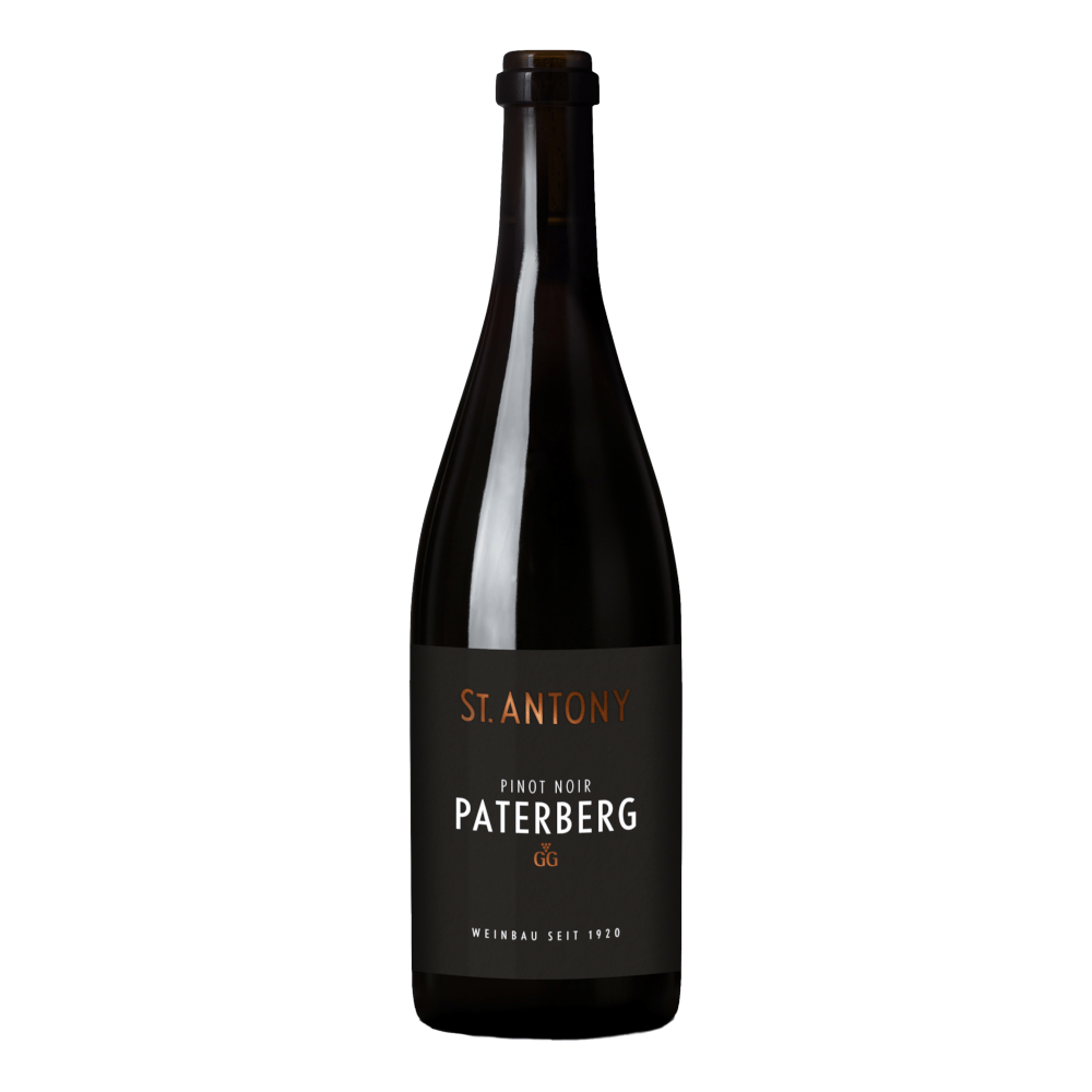 St. Antony Nierstein Paterberg Pinot Noir Bio GG