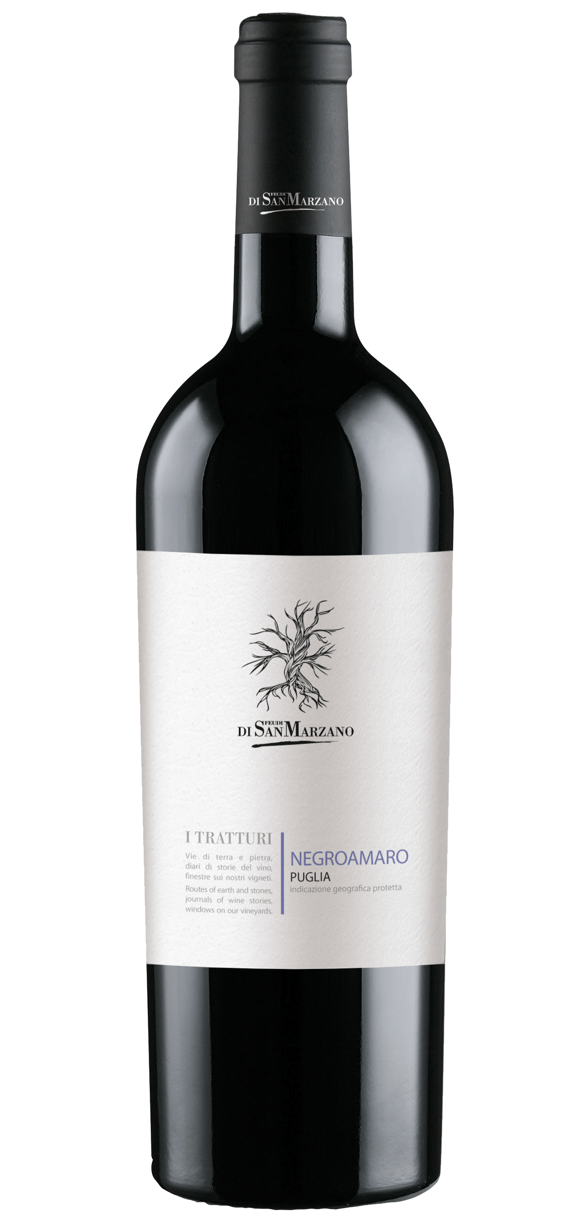 Centoare Negroamaro 2022