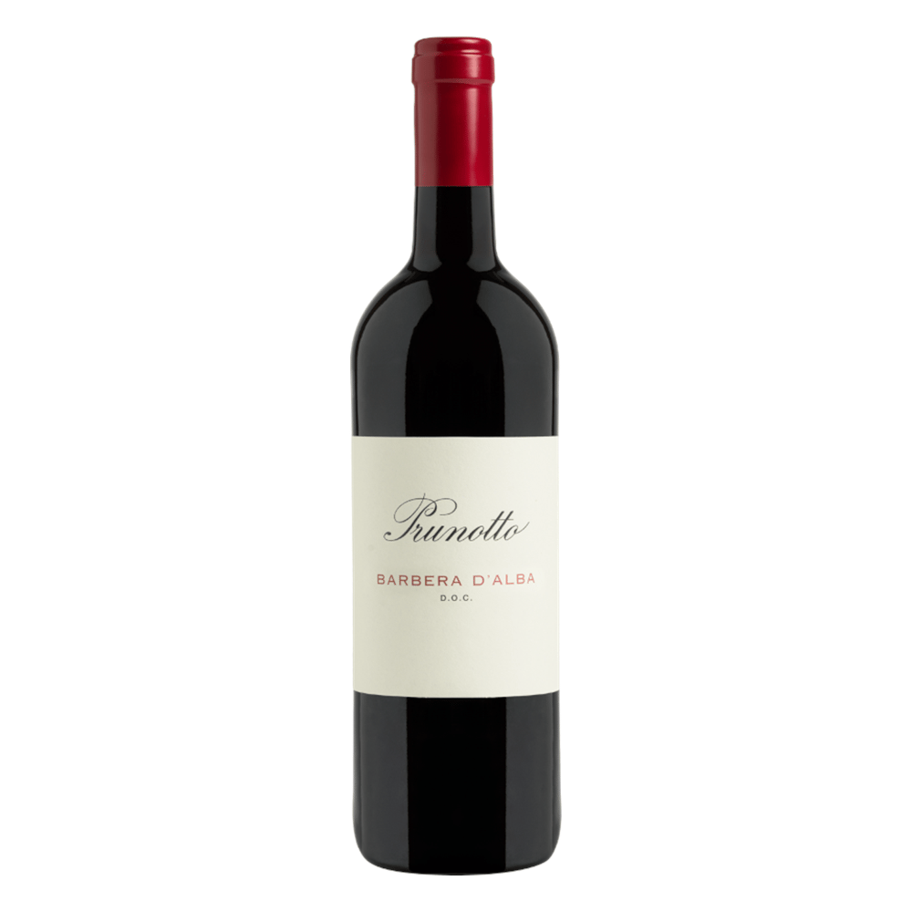 Barbera d'Alba DOC 2021
