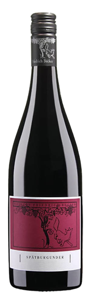 Spätburgunder 2019