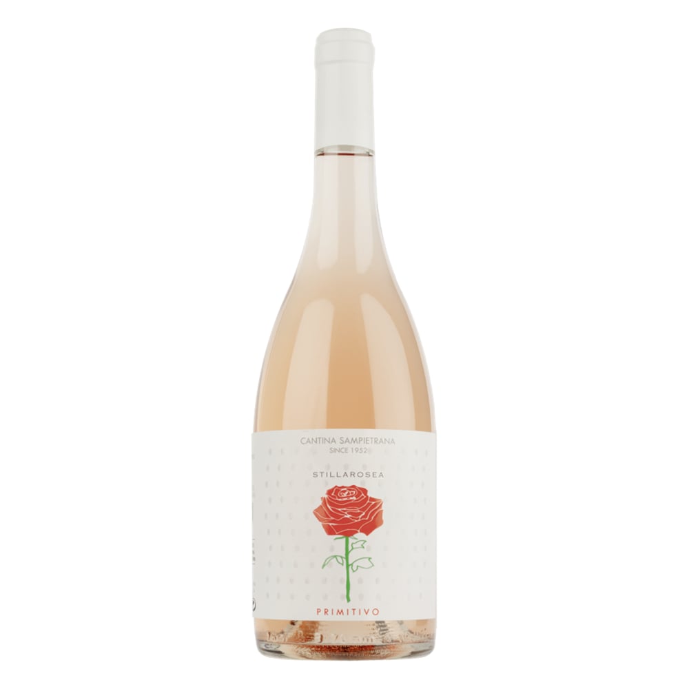 Primitivo Rose Stillarosea 2022