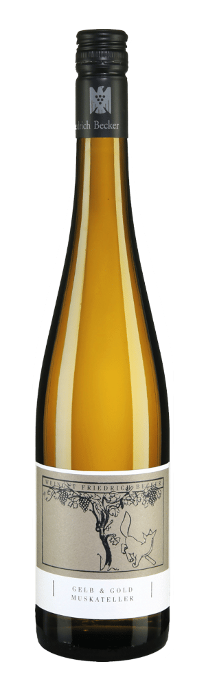 Gelb & Gold Muskateller 

