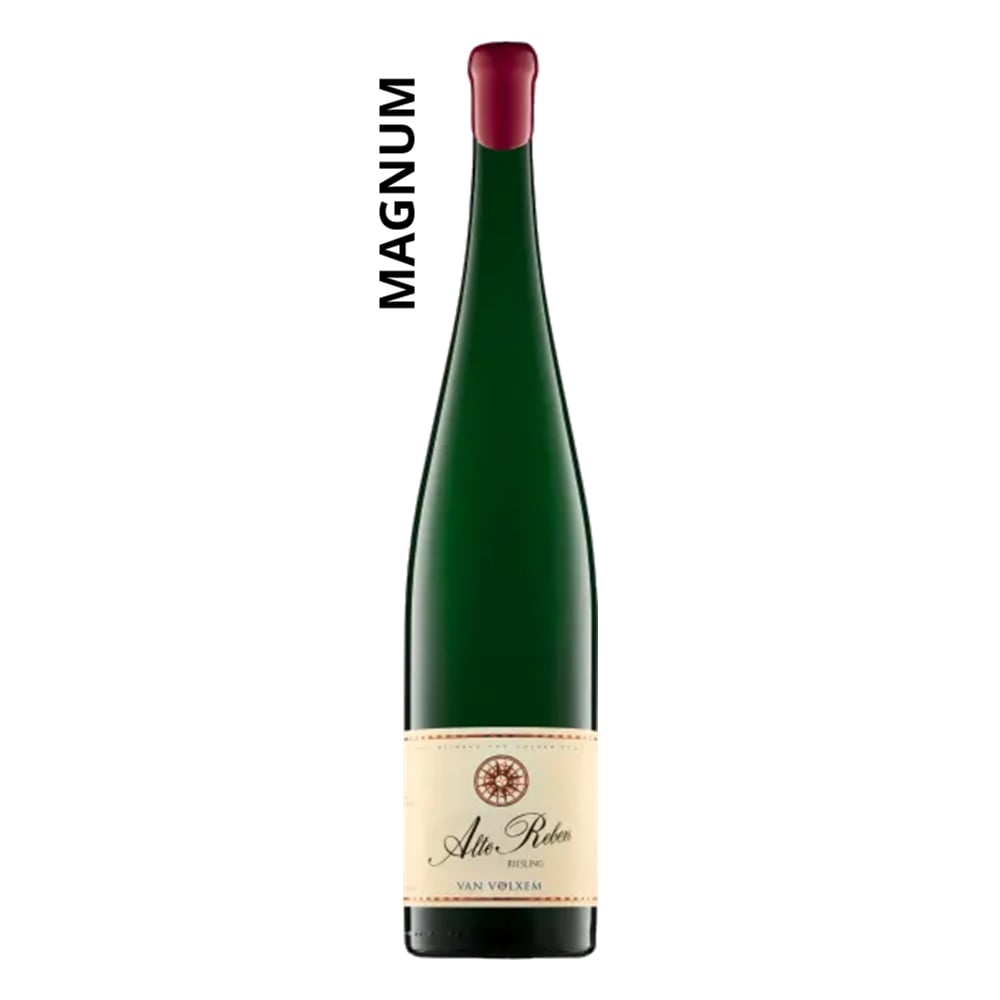 Riesling Alte Reben trocken Magnum
