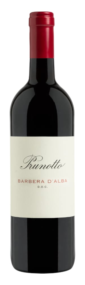 Barbera d'Alba DOC 2021