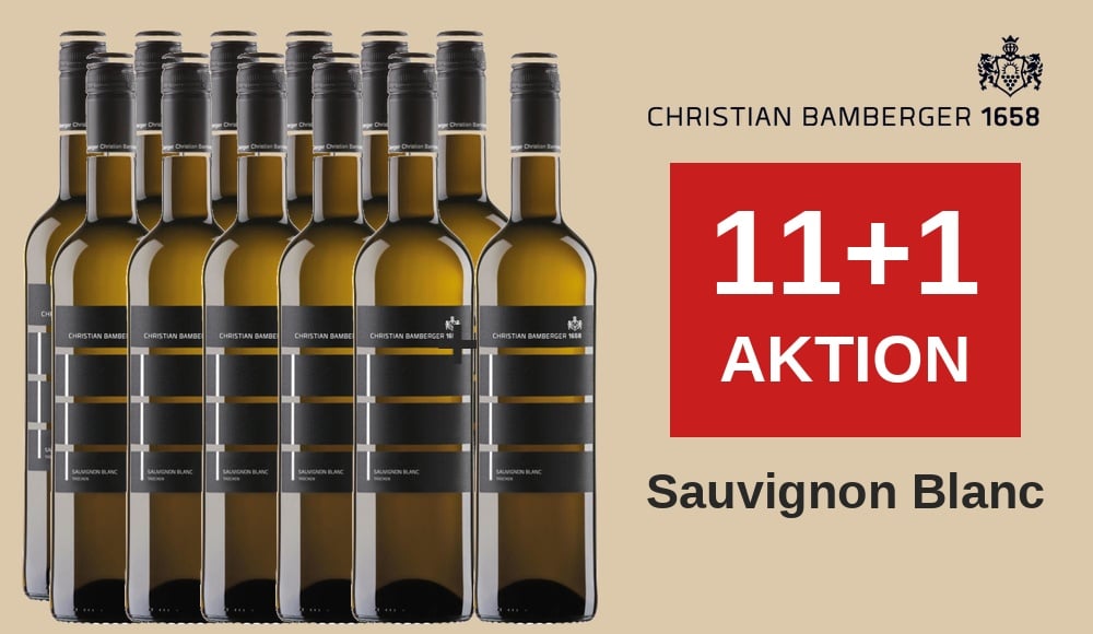 Bamberger Sauvignon Blanc  11+1 Sparpaket