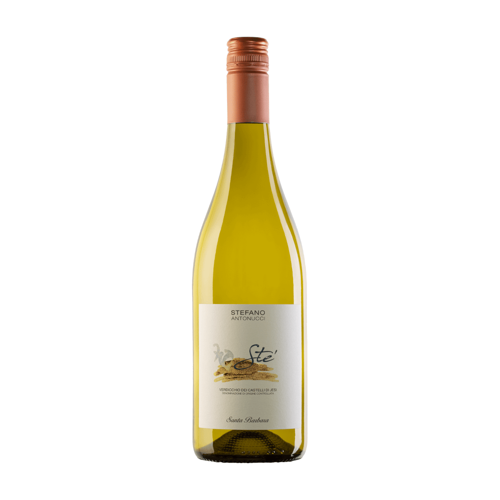 Verdicchio Sté DOC 2022