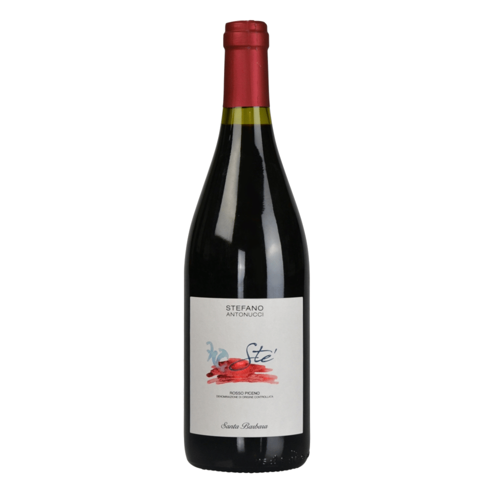 Rosso Piceno Sté DOC 2021