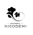 Logo Fattoria Nicodemi Winzer