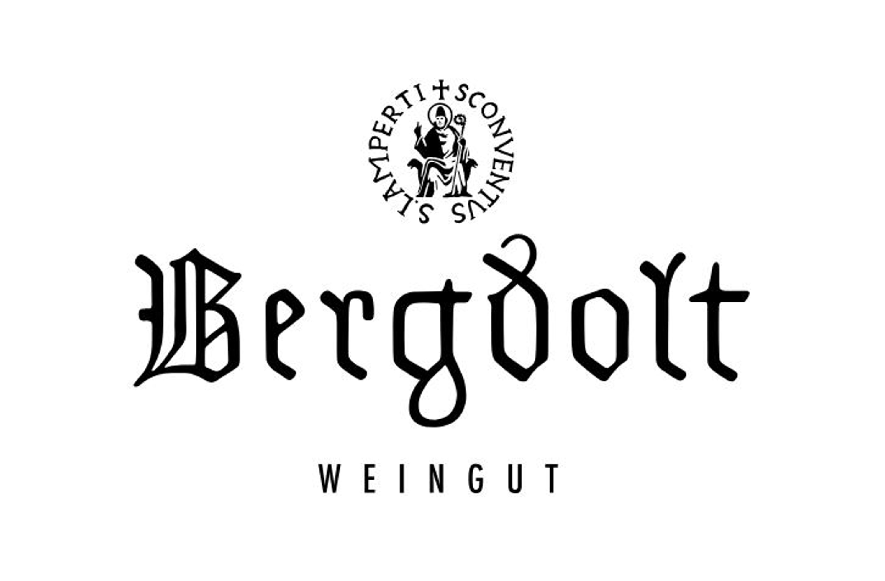 Logo Bergdolt Weingut Winzer