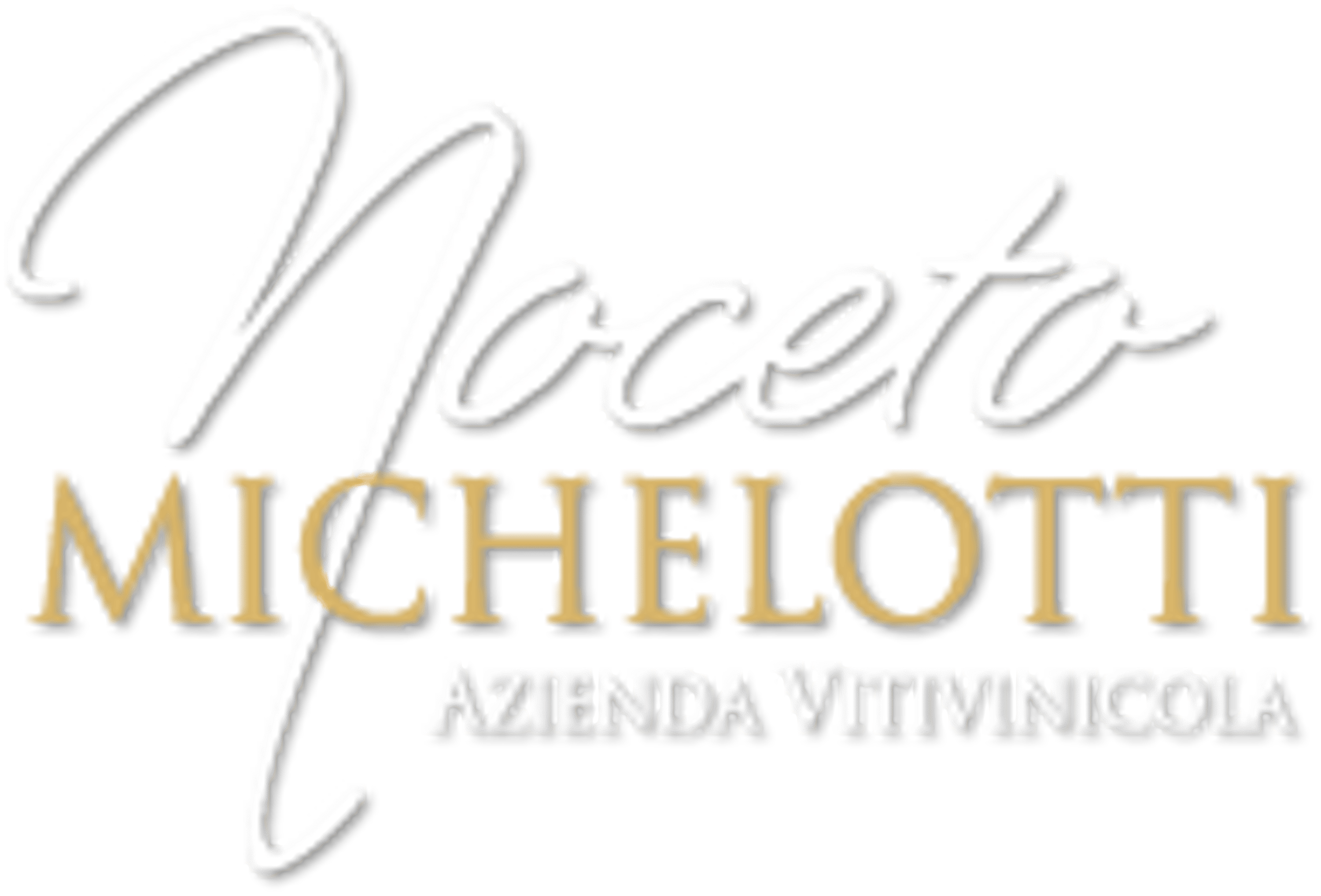 Logo Noceto Michelotti Winzer