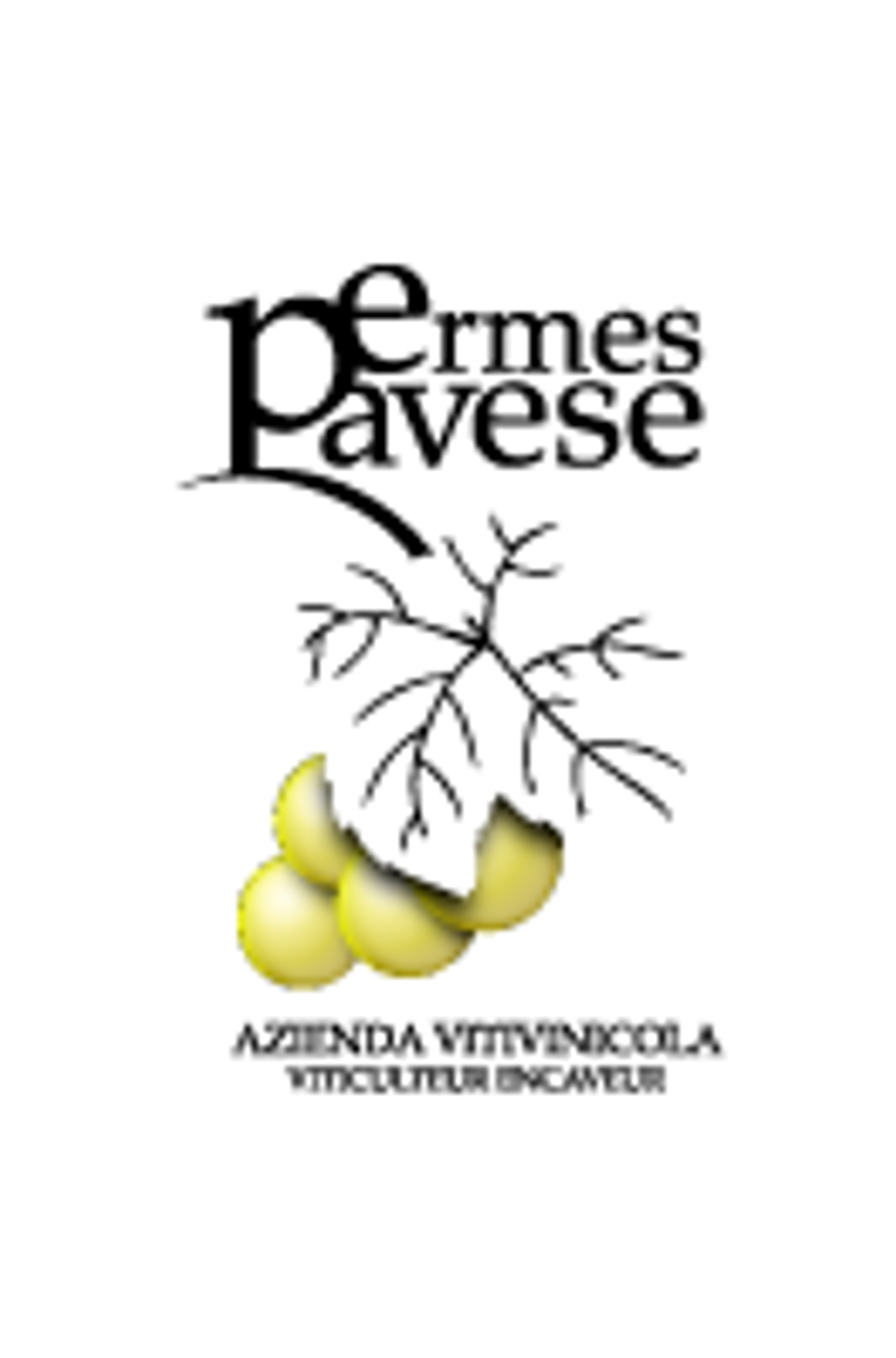 Logo Ermes Pavese Winzer