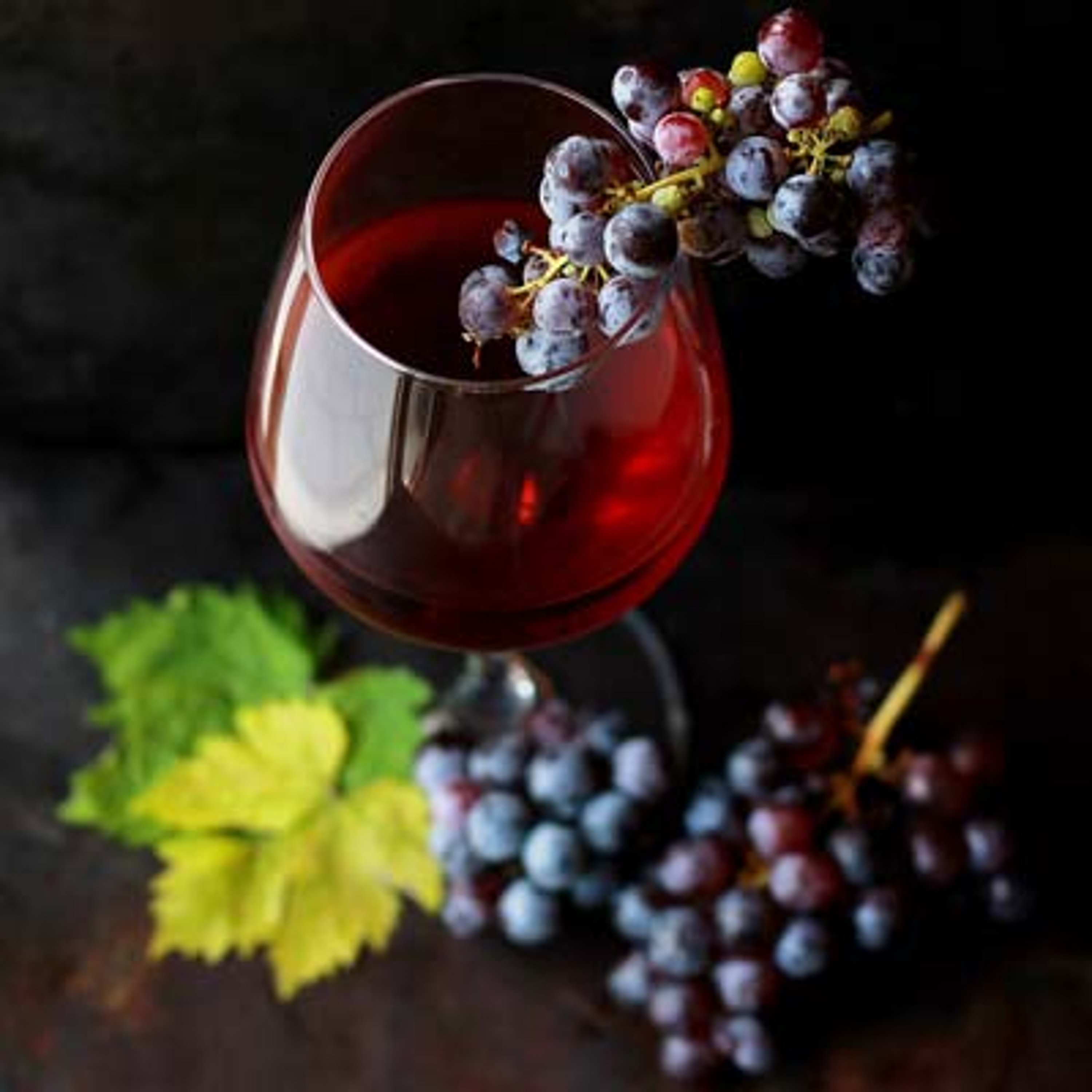 Weinglas mit Rotwein und Weinreben