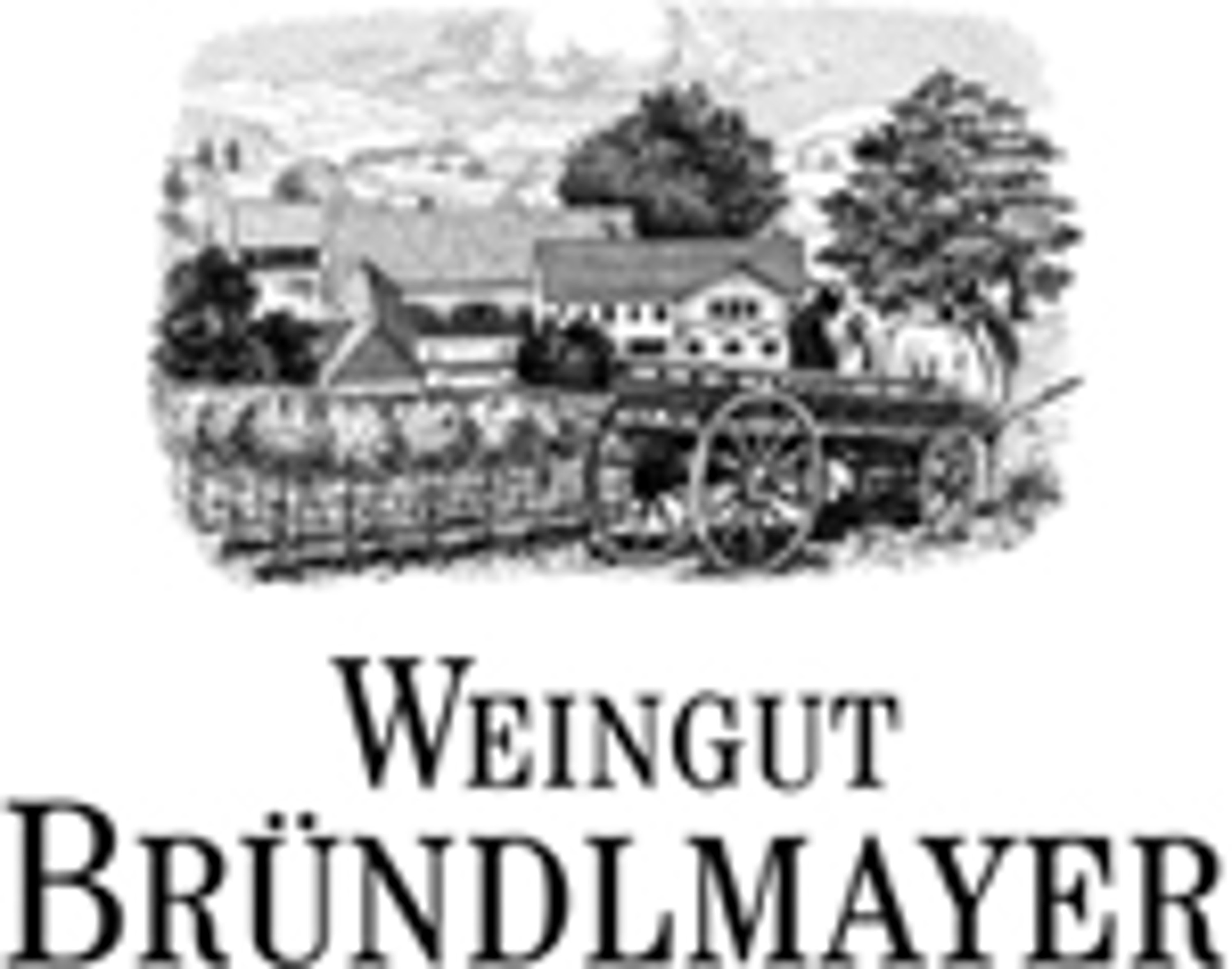 Logo WEINGUT BRÜNDLMAER Winzer